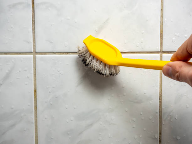 Best Affordable Mold Removal  in Lakeside Park, KY