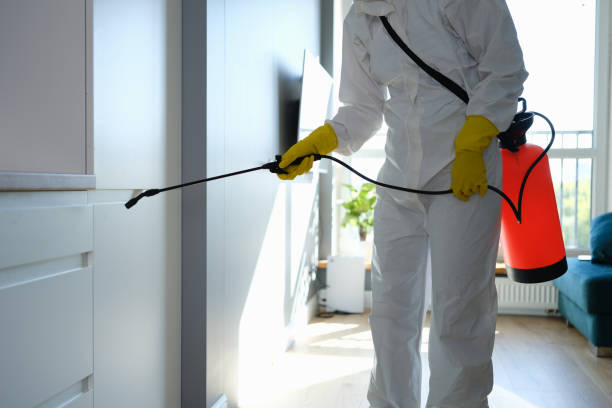 Best Residential Mold Removal  in Lakeside Park, KY