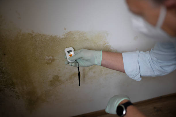 Attic Mold Removal in Lakeside Park, KY