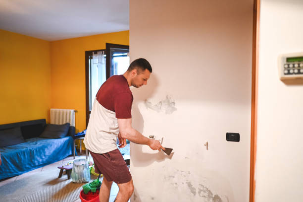 Best Commercial Mold Removal  in Lakeside Park, KY